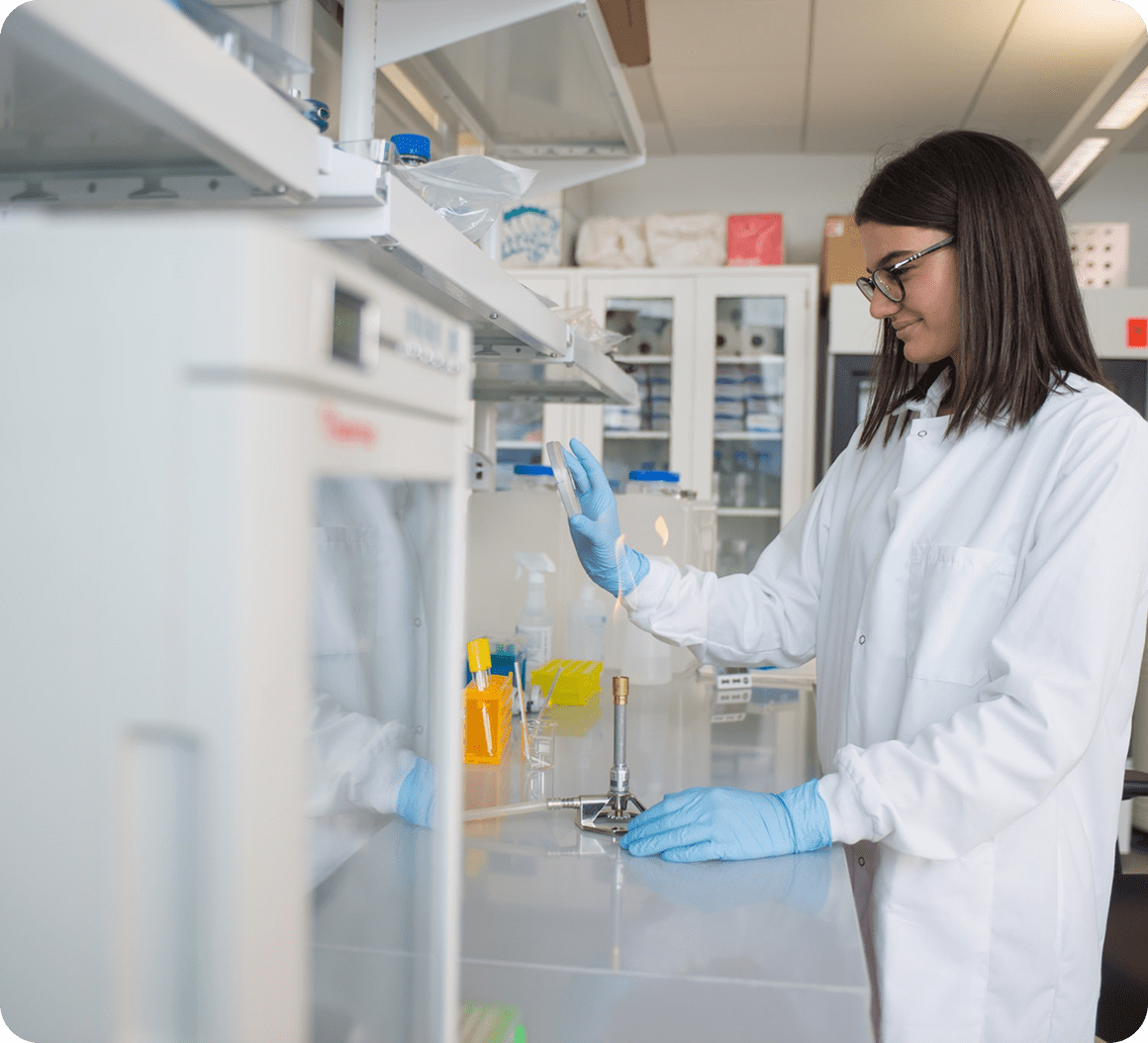 Researcher examining lab equipment